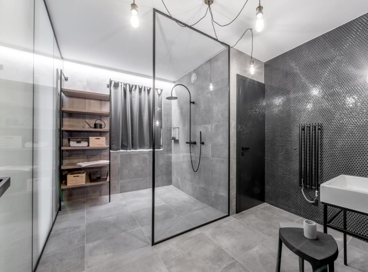 Apartmanovy Dum U Tomana 布尔诺 外观 照片